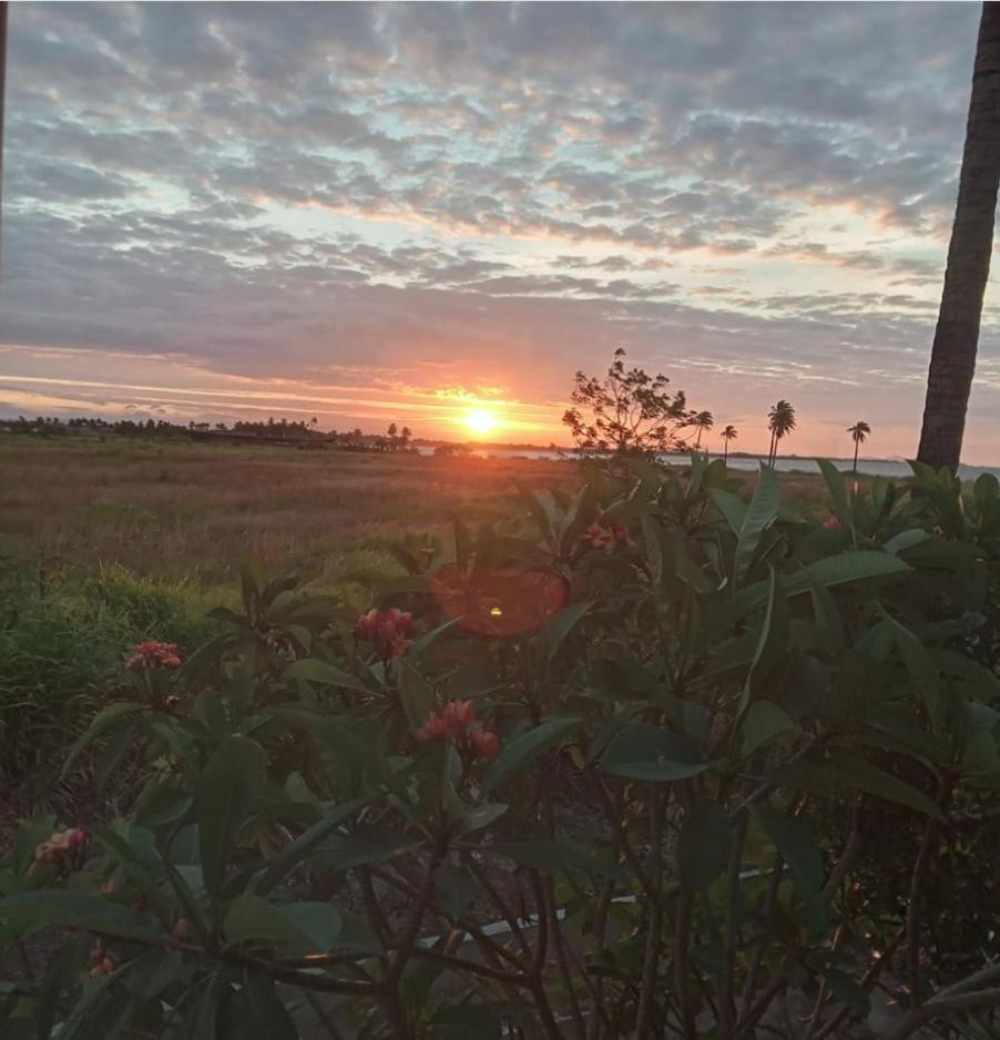 The Ideal Bed & Breakfast Nadi Bagian luar foto